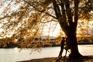 Where to take romantic pictures for Valentine's day-park